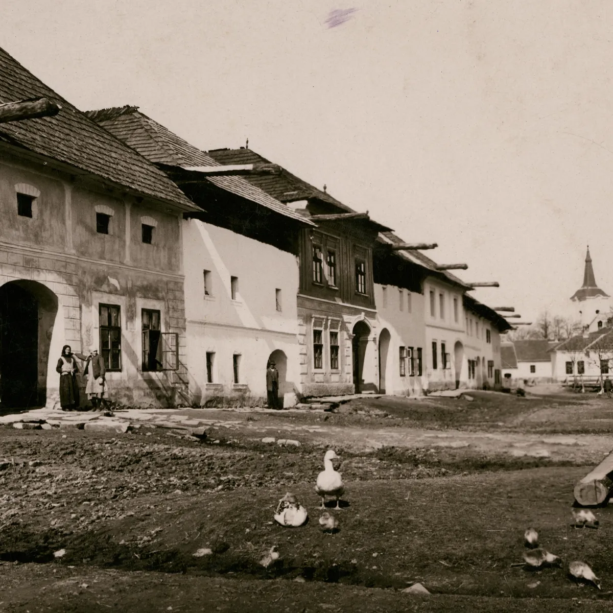 Čiernobiela fotografia oredvojnovej obce Tvarožná. Domy sa nachádzajú v ľavej časti fotky, na ceste vidieť husy. V pozadí je kostol. Fotku zhotovil prof. Alfréd Grosz (1885 - 1973) niekedy v druhej štvrtine 20. storočia.
