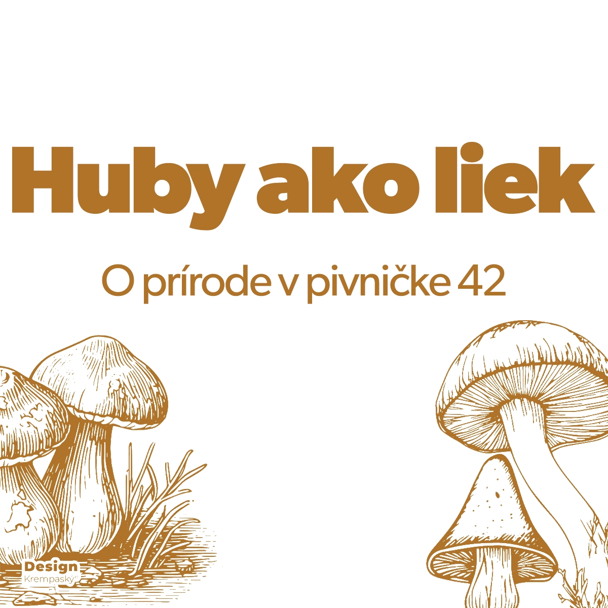 Huby ako liek. O prírode v pivničke 42 (design Krempasky)