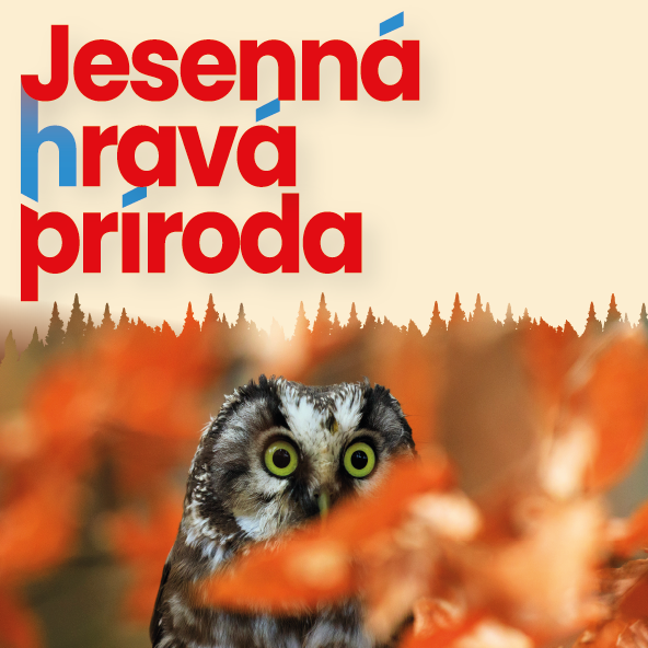 Jesenná hravá príroda small image.