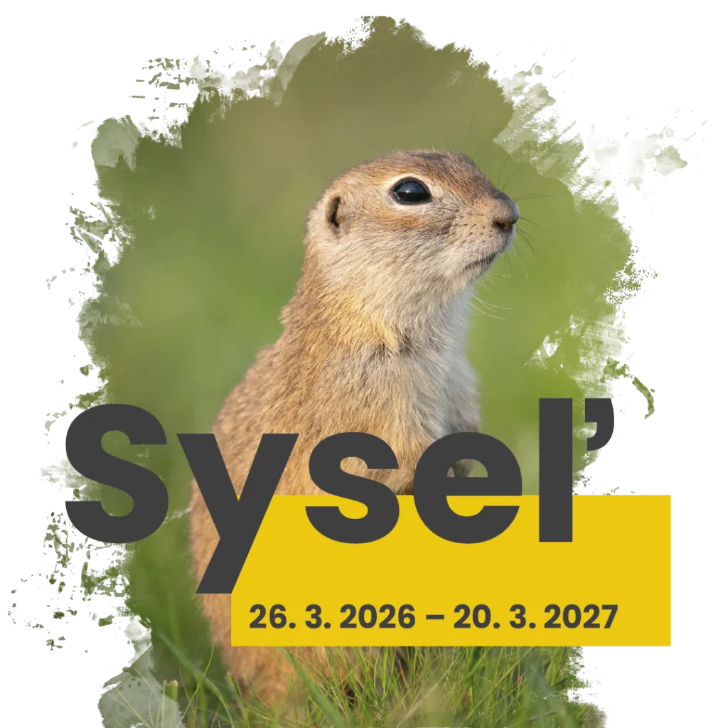 Syseľ výstav v Múzeu Spiša v Spišskej Novej Vsi