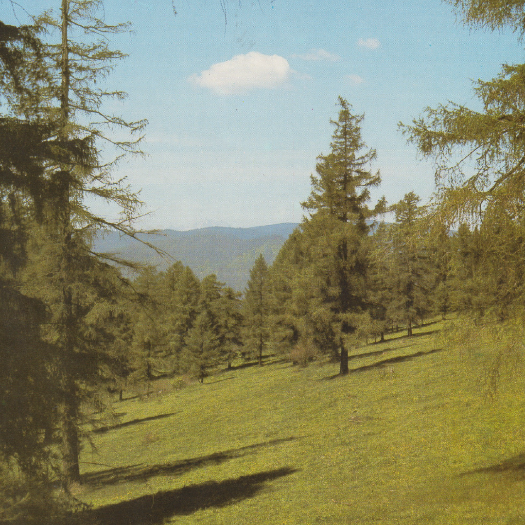 O prírode v pivničke 50 - Vlk, vydra, vtáctvo…