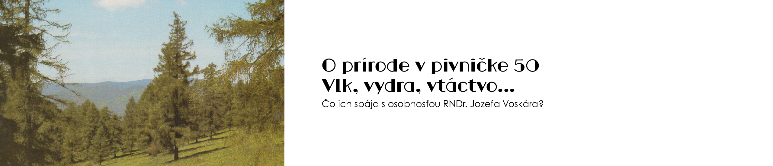 O prírode v pivničke 50 - Vlk, vydra, vtáctvo…