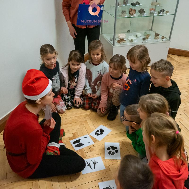 Vianoce s elfom v múzeu
