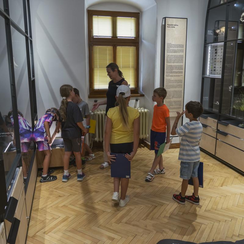 Detektív v prírode Spiša - Múzeum Spiša v Spišskej Novej Vsi