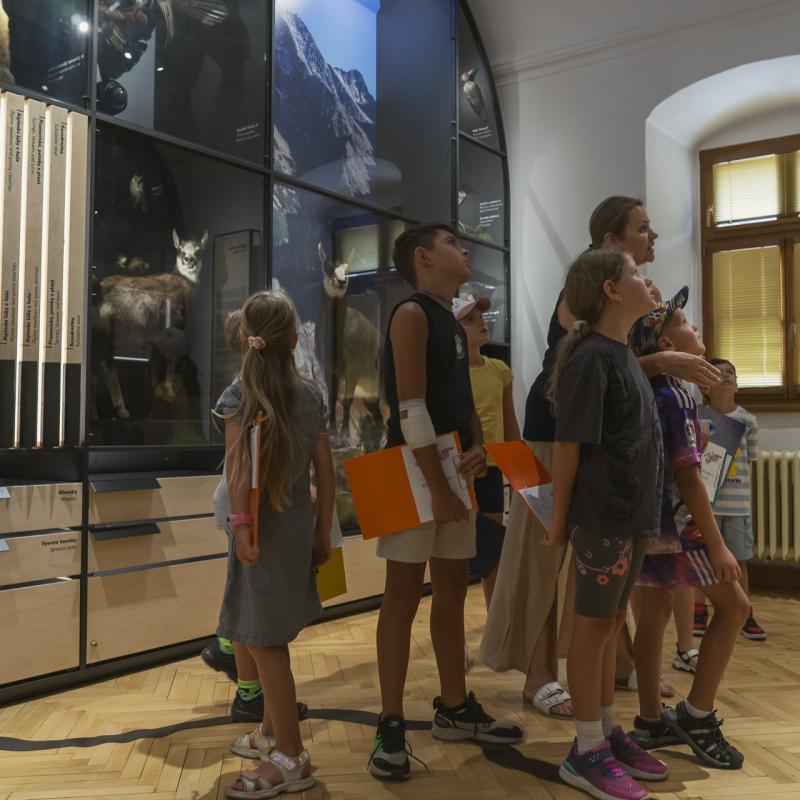 Detektív v prírode Spiša - Múzeum Spiša v Spišskej Novej Vsi